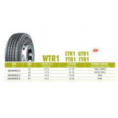朝阳轮胎WTR1